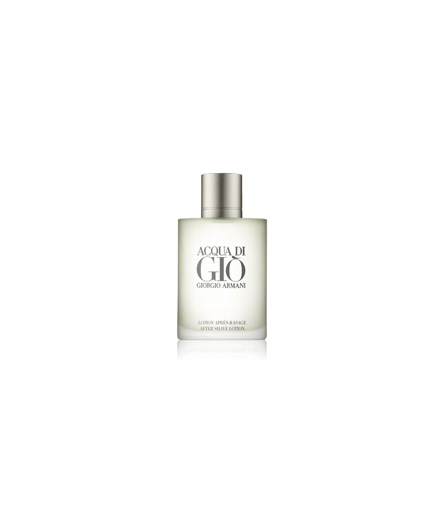 Giorgio Armani Acqua di Gio Homme Aftershave (100 ml)