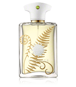 Amouage Bracken Man Eau de Parfum Spray (100 ml)