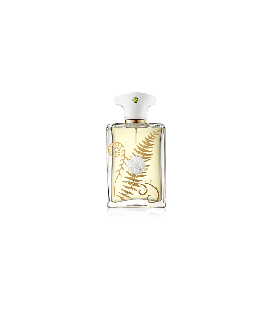 Amouage Bracken Man Eau de Parfum Spray (100 ml)
