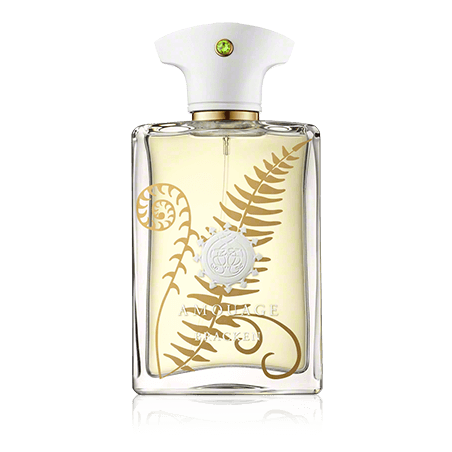 Amouage Bracken Man Eau de Parfum Spray (100 ml)