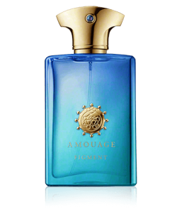 Amouage Figment Man Eau de Toilette Spray (100 ml)