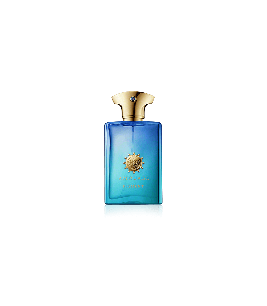 Amouage Figment Man Eau de Toilette Spray (100 ml)