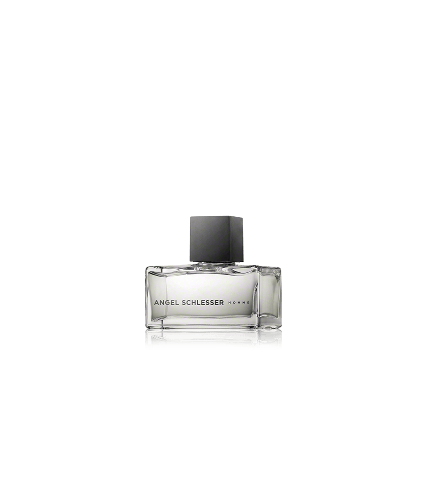 Angel Schlesser Homme Eau de Toilette Spray (75 ml)