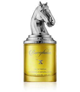 Armaf Bucephalus No. X Eau de Parfum Spray (100 ml)