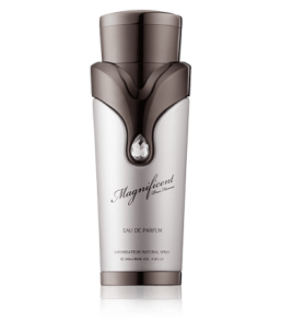 Armaf Magnificent pour Homme Eau de Parfum Spray (100 ml)