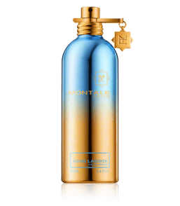Montale Aoud Lagoon Eau de Parfum Spray (100 ml)