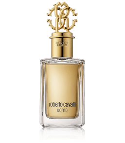 Roberto Cavalli Collection Uomo Eau de Toilette Spray (100 ml)