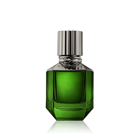 Roberto Cavalli Paradise Found for Men Eau de Toilette Spray (50 ml)