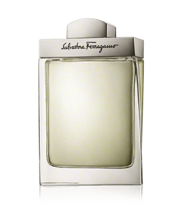 Salvatore Ferragamo Pour Homme Eau de Toilette Spray (100 ml)