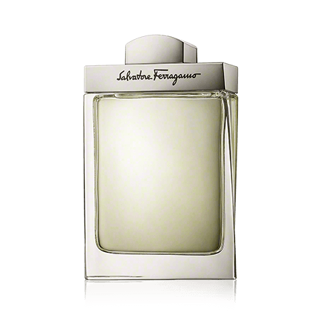 Salvatore Ferragamo Pour Homme Eau de Toilette Spray (100 ml)