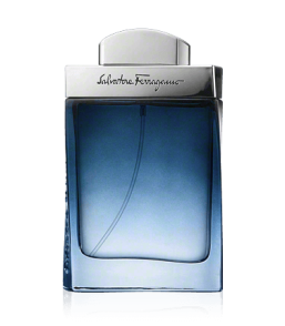 Salvatore Ferragamo Subtil pour Homme Eau de Toilette Spray (100 ml)