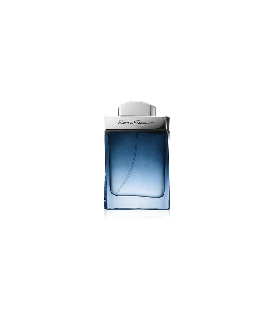 Salvatore Ferragamo Subtil pour Homme Eau de Toilette Spray (100 ml)