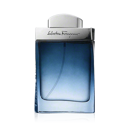 Salvatore Ferragamo Subtil pour Homme Eau de Toilette Spray (100 ml)