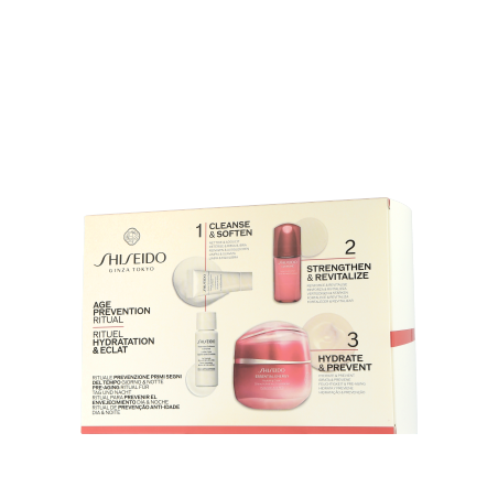 Shiseido Essential Energy Set Energy Hydrating Cream