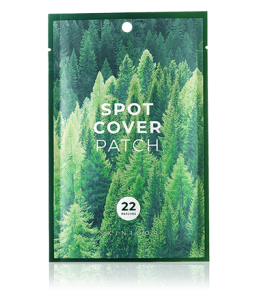 SKIN1004 Madagascar Centella Tea-Trica Spot Cover Patch (22 Stück)