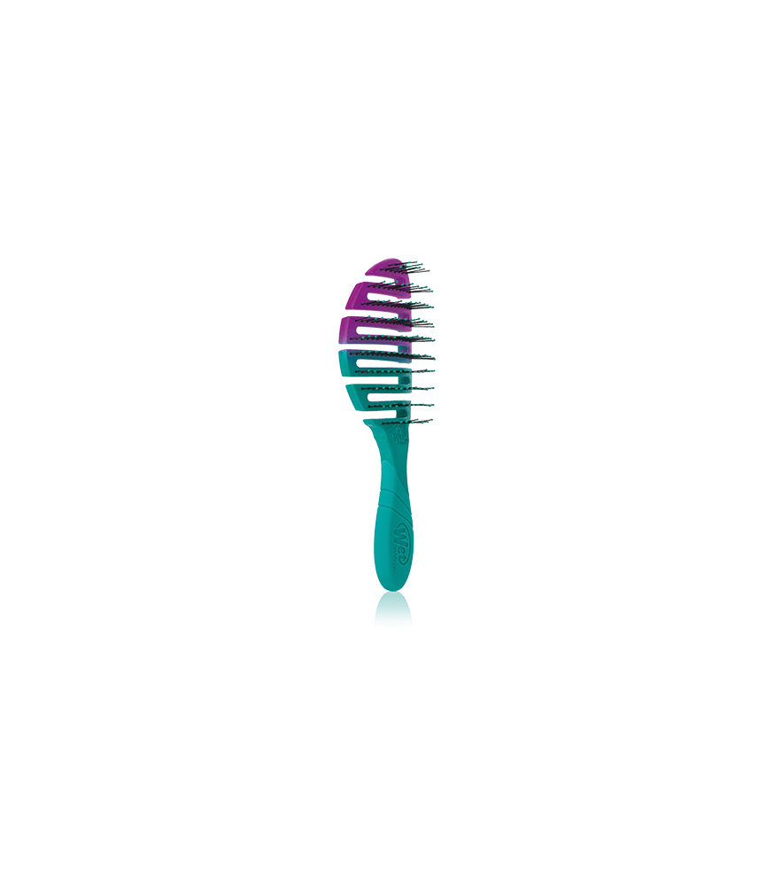 Wet Brush Pro Flex Dry Teal Ombre
