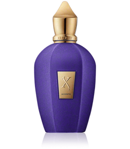 Xerjoff V-Collection Accento Eau de Parfum Spray (100 ml)