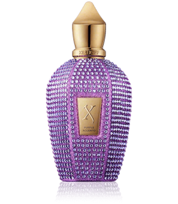 Xerjoff V-Collection Purple Accento Eau de Parfum Spray (100 ml)