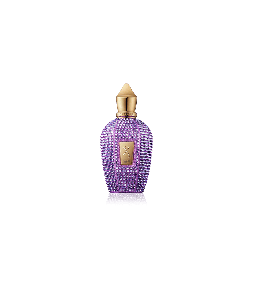 Xerjoff V-Collection Purple Accento Eau de Parfum Spray (100 ml)