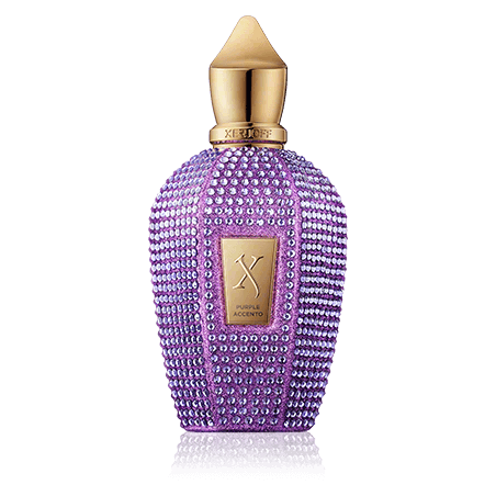 Xerjoff V-Collection Purple Accento Eau de Parfum Spray (100 ml)