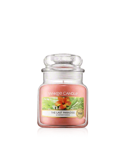 Yankee Candle Housewarmer The Last Paradise (104 g)
