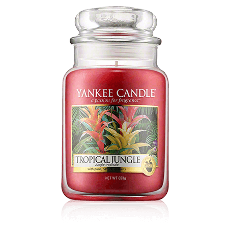 Yankee Candle Housewarmer Tropical Jungle (623 g)