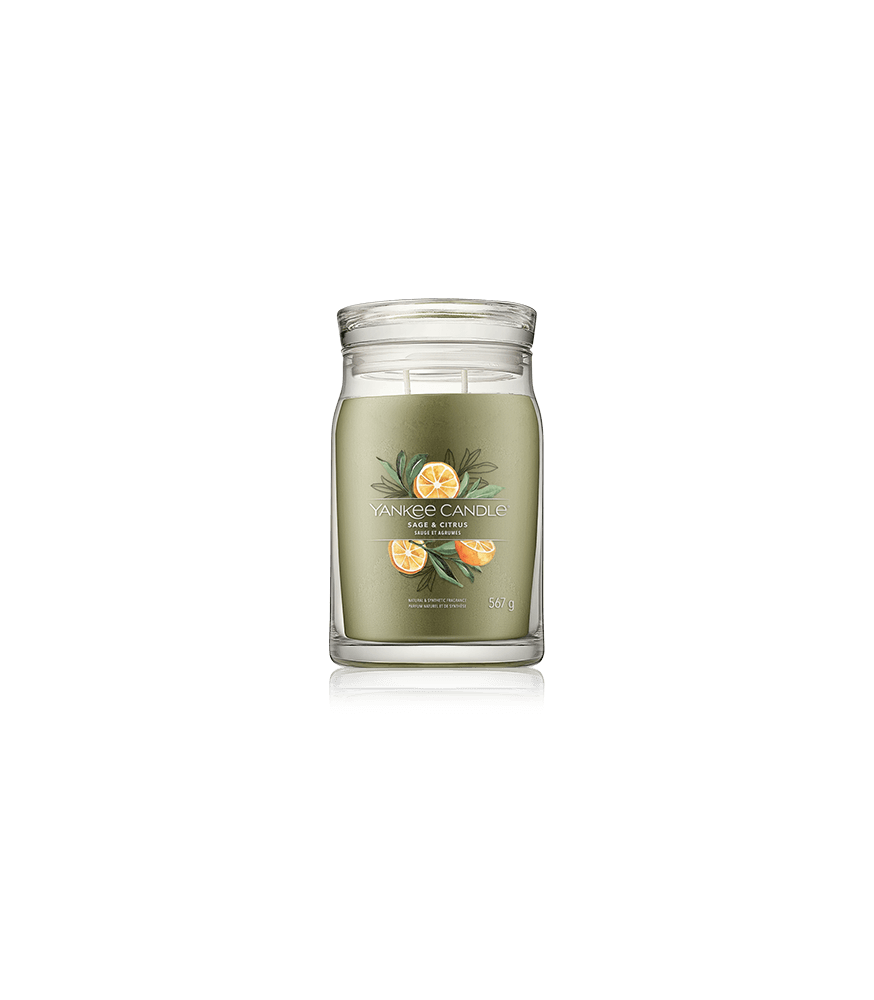 Yankee Candle Signature Sage & Citrus (567 g)