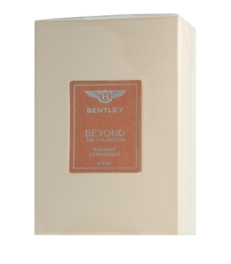 Bentley Beyond The Collection Radiant Osmanthus Eau de Parfum Spray (100 ml)