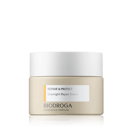 Biodroga Bioscience Institute Repair & Protect Overnight Repair Cream (50 ml)