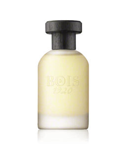 Bois 1920 Classic Paradise Eau de Parfum Spray (100 ml)