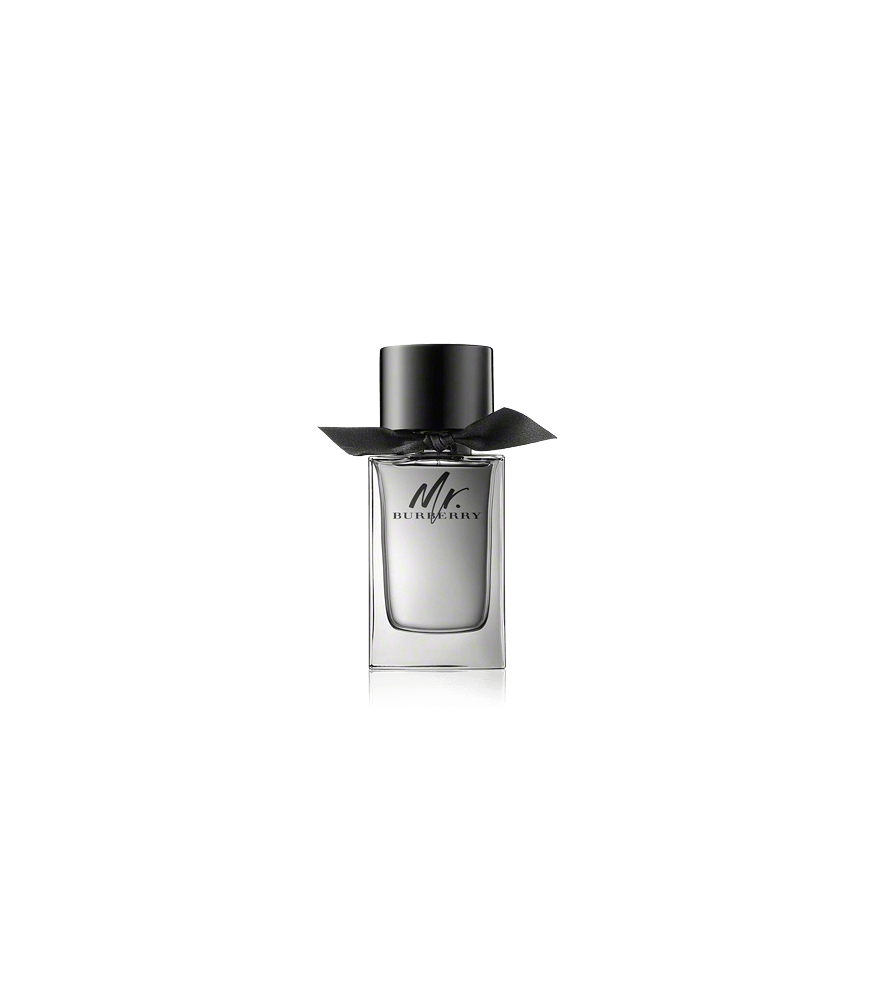 Burberry Mr. Burberry Eau de Toilette Spray (100 ml)