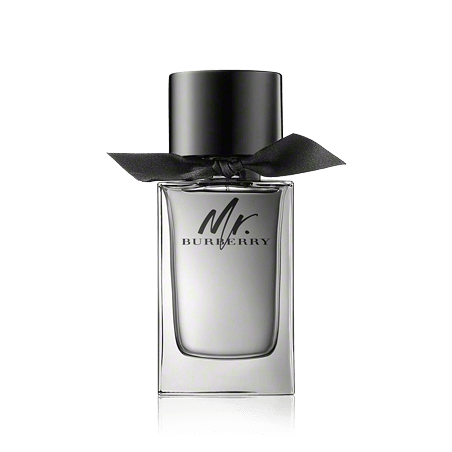Burberry Mr. Burberry Eau de Toilette Spray (100 ml)