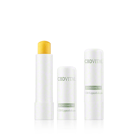 CBD VITAL Biokosmetik Lippenbalsam (2 x 4