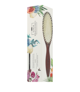 Christophe Robin Brushes Detangling Hairbrush