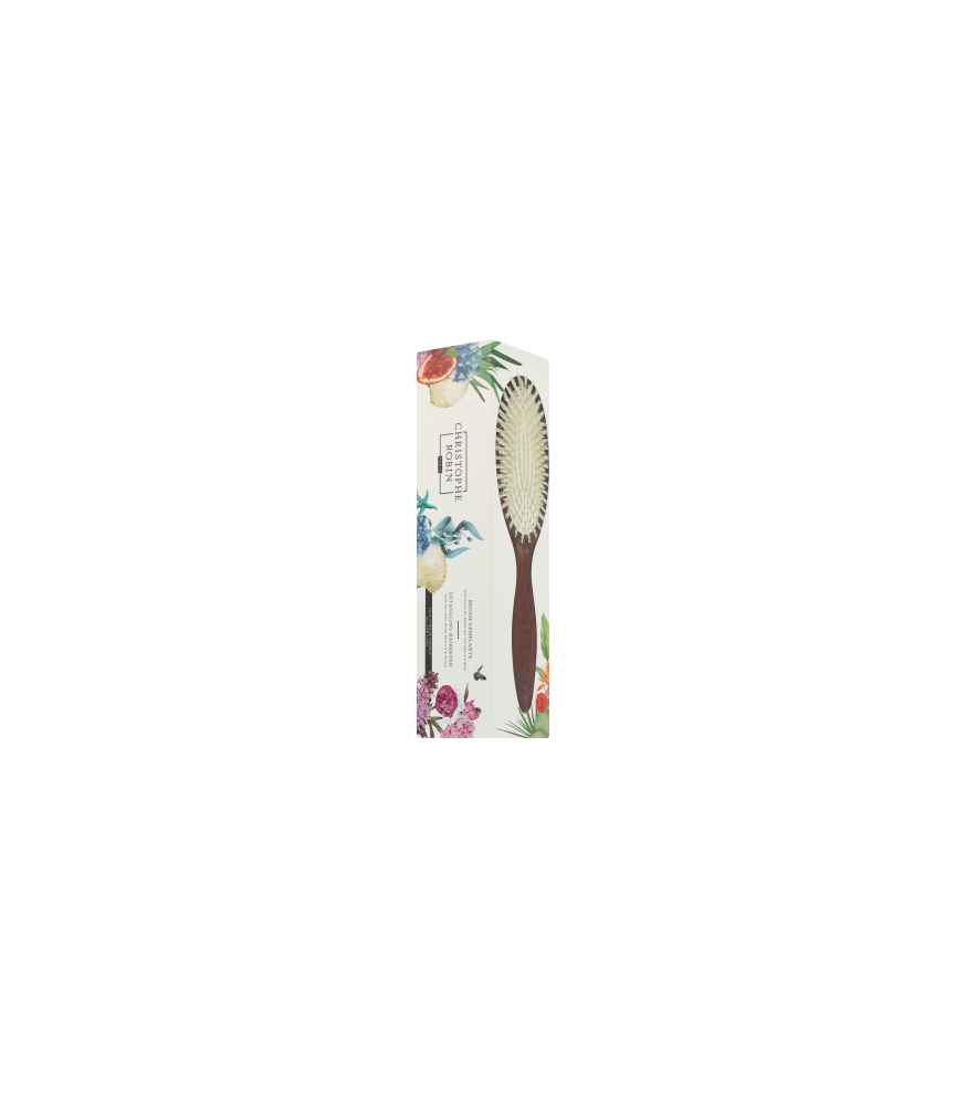 Christophe Robin Brushes Detangling Hairbrush