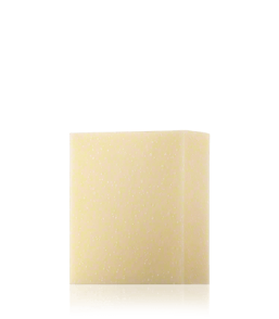 Christophe Robin Hydrating Shampoo Bar with Aloe Vera (100 ml)