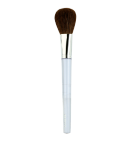 Clinique Make-Up Brushes Blush Brush