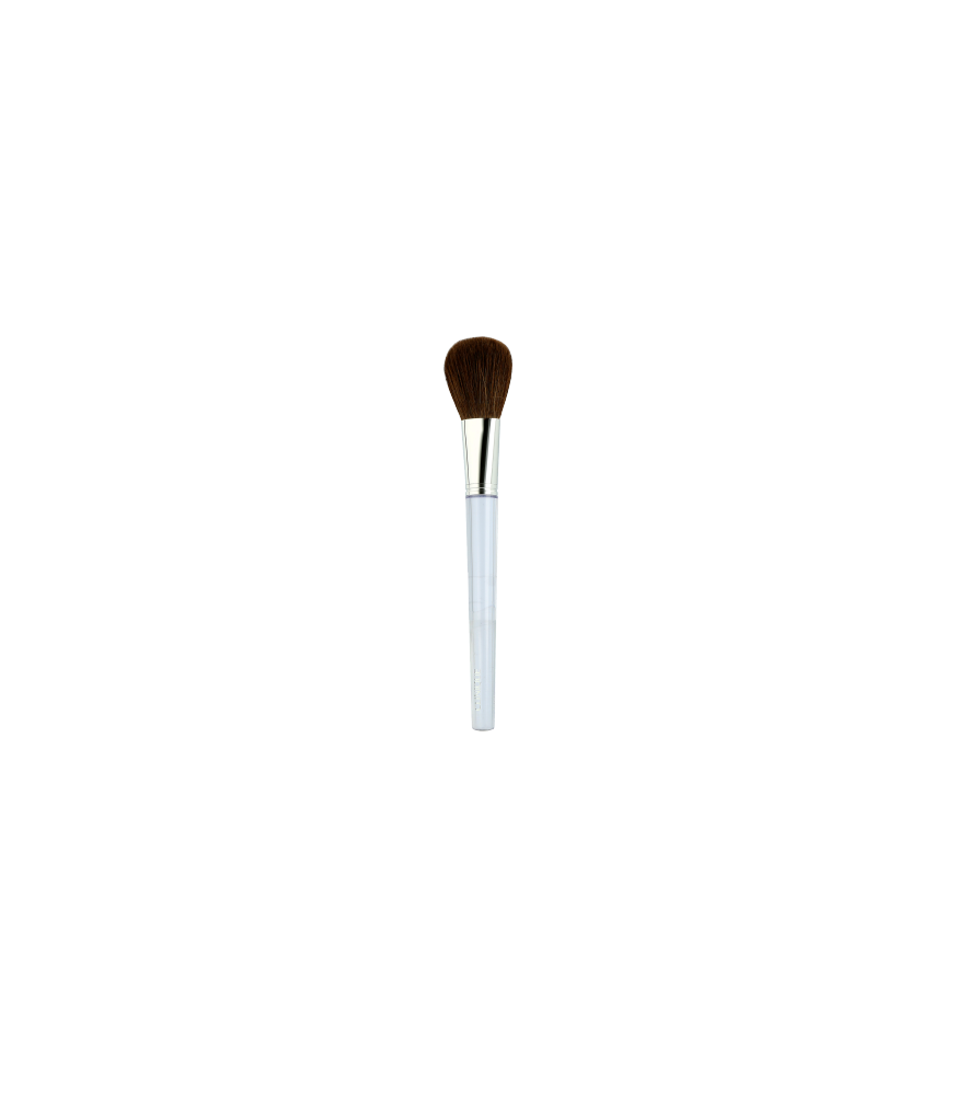 Clinique Make-Up Brushes Blush Brush