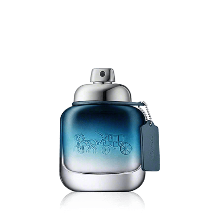 Coach Blue Eau de Toilette Spray (40 ml)