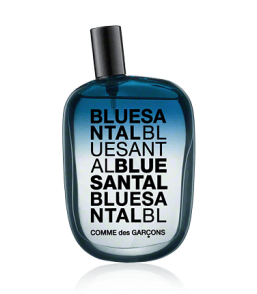 Comme des Garçons Blue Santal Eau de Parfum Spray (100 ml)