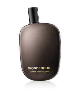 Comme des Garçons Wonderoud Eau de Parfum Spray (100 ml)