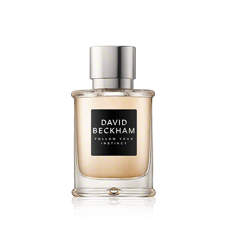 David Beckham Follow Your Instinct Eau de Toilette Spray (50 ml)