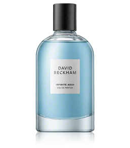 David Beckham Infinite Aqua Eau de Parfum Spray (100 ml)