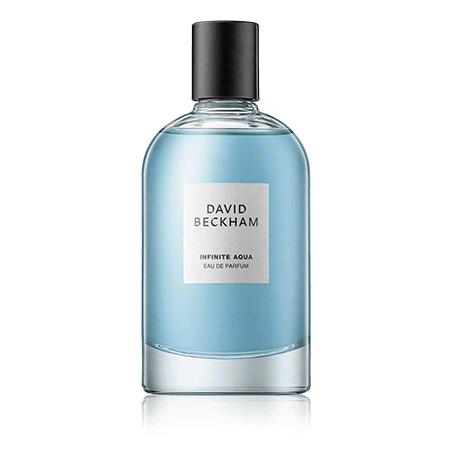 David Beckham Infinite Aqua Eau de Parfum Spray (100 ml)