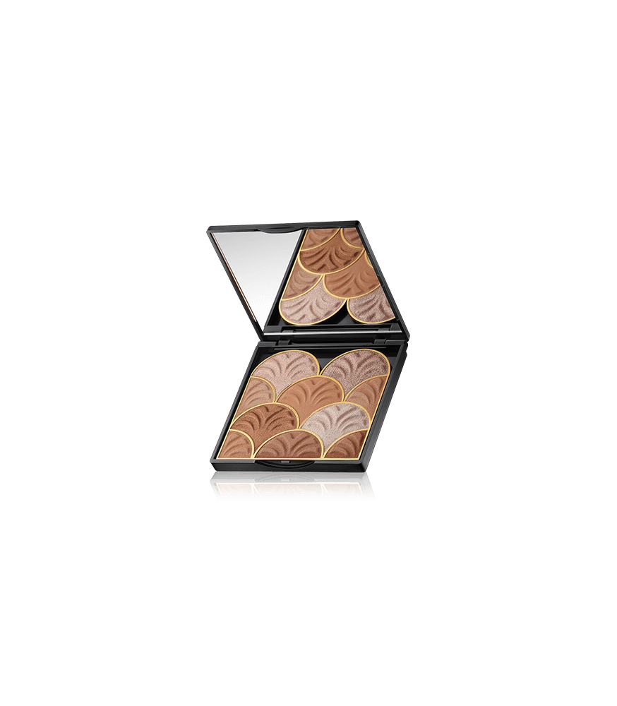 Delfy Cosmetics Highlighter Fantasy Illuminating Face Powder (17 g)