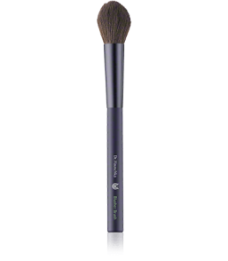 Dr. Hauschka Brushes Blusher Brush