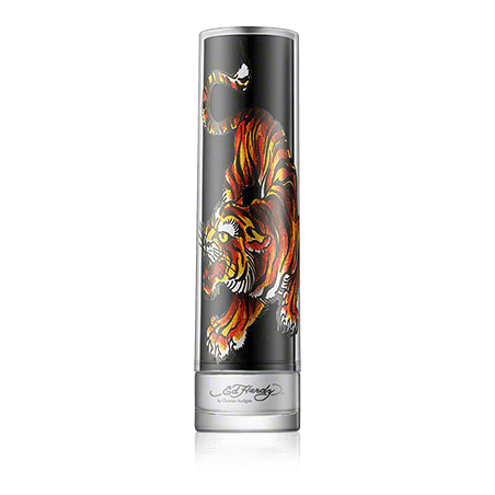Ed Hardy for Men Eau de Toilette Spray (100 ml)