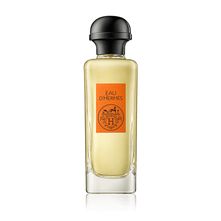 Hermès Eau d'Hermès Eau de Toilette Spray (100 ml)