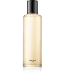 Hermès Terre d'Hermès Eau de Parfum Intense Nachfüllung (200 ml)