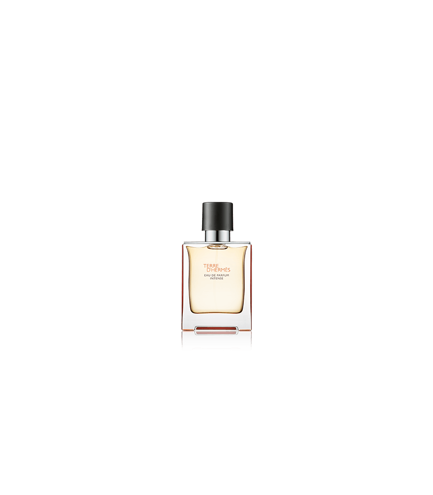 Hermès Terre d'Hermès Eau de Parfum Intense Spray (nachfüllbar) (50 ml)